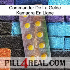 Commander De La Gelée Kamagra En Ligne new11